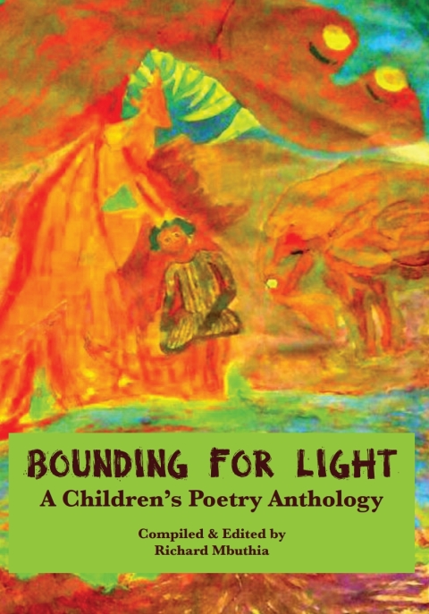 Cover image for book Bounding For Light