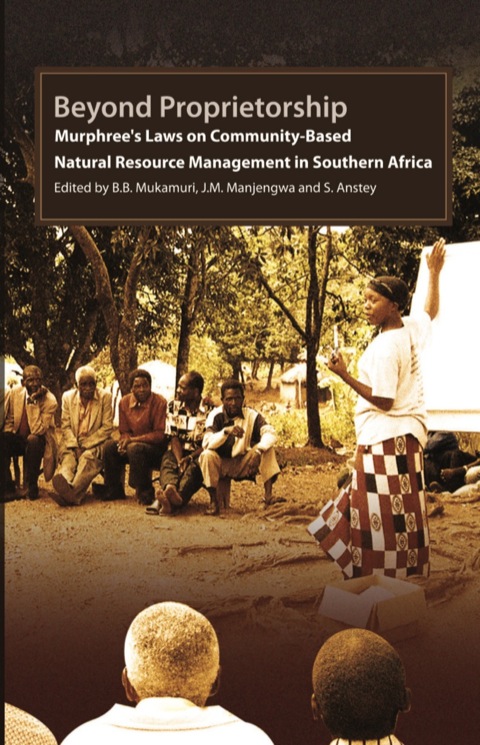 Cover image for book Beyond Proprietorship