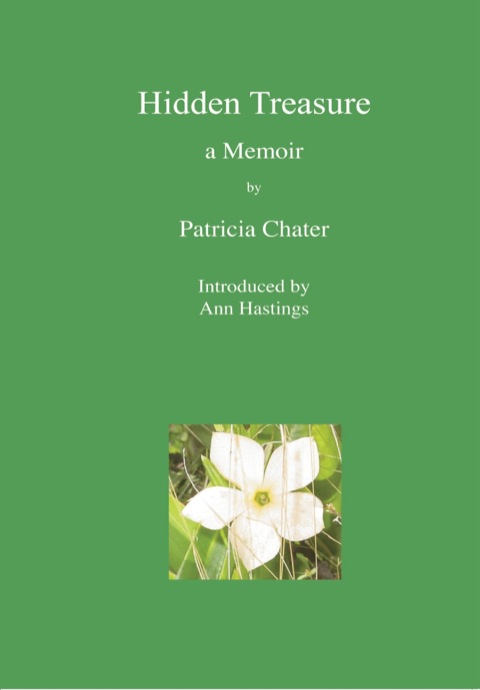 Cover image for book Hidden Treasure