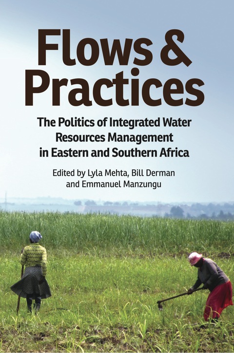 Cover image for book Flows and Practices