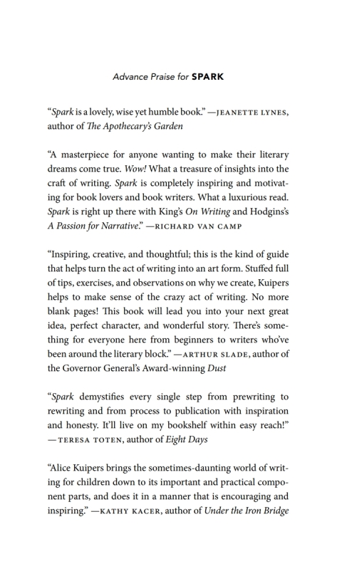 Cover image for book Spark