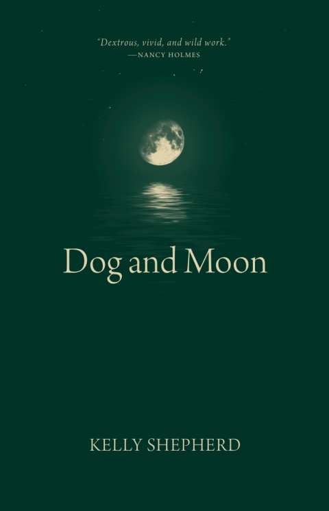 Cover image for book Dog and Moon