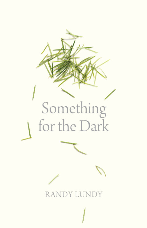 Cover image for book Something for the Dark