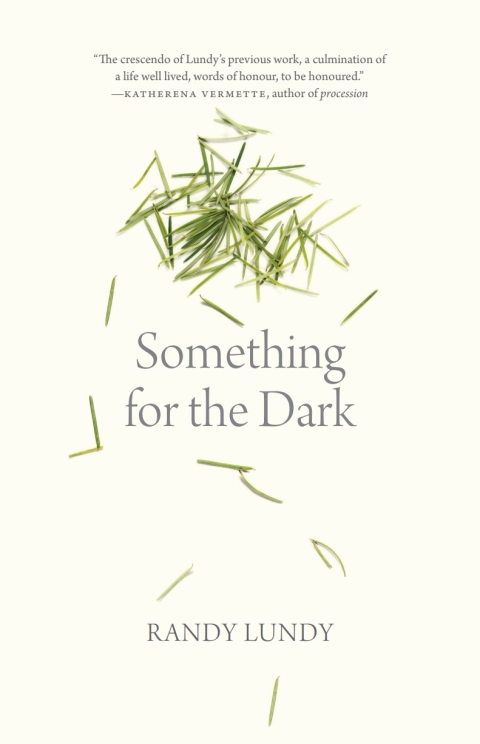 Cover image for book Something for the Dark