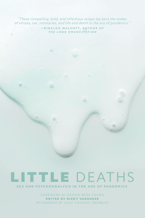 Cover image for book Little Deaths