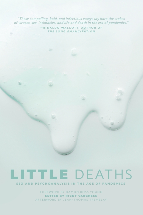 Cover image for book Little Deaths