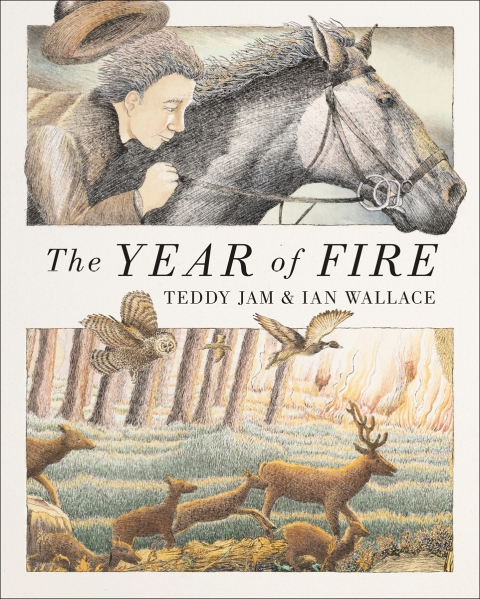 Cover image for book The Year of Fire