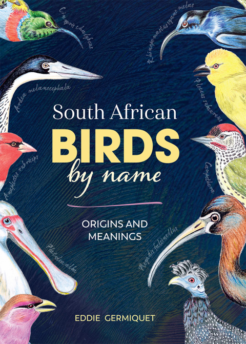 Cover image for book South African Birds by name – Origins and Meanings