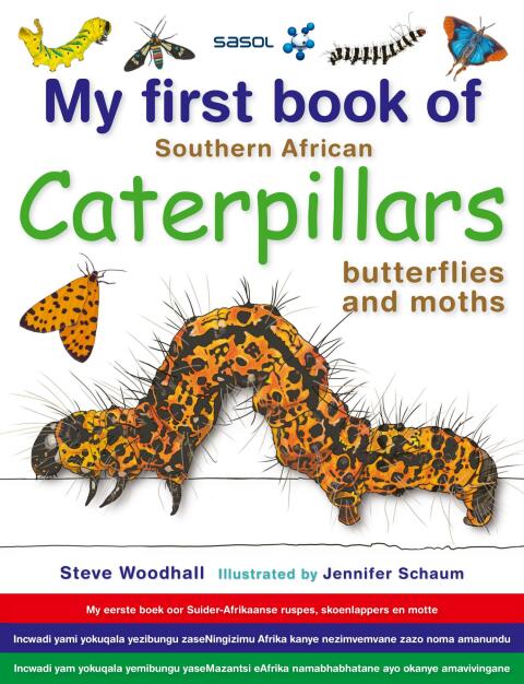 Cover image for book My first book of Southern African Caterpillars, butterflies and moths