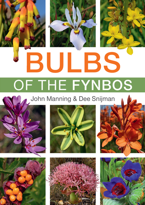 Cover image for book Bulbs of the Fynbos