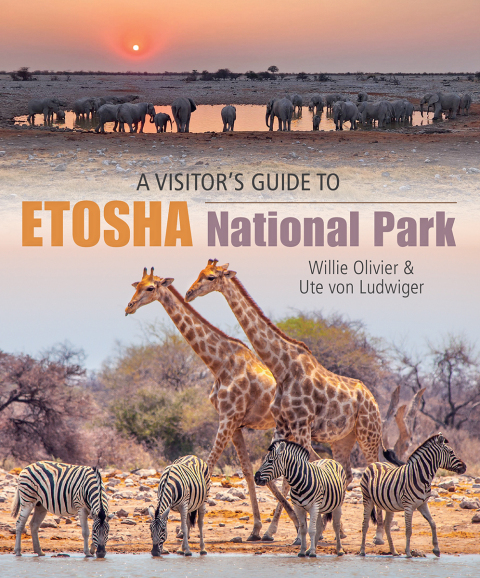 Cover image for book A Visitor’s Guide to Etosha National Park