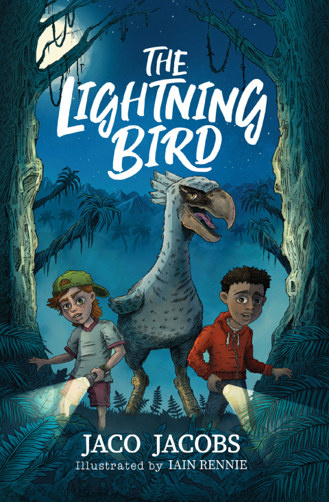 Cover image for book The Lightning Bird