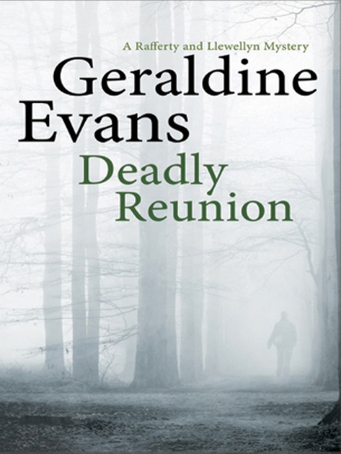 Cover image for book Deadly Reunion