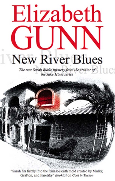 Cover image for book New River Blues