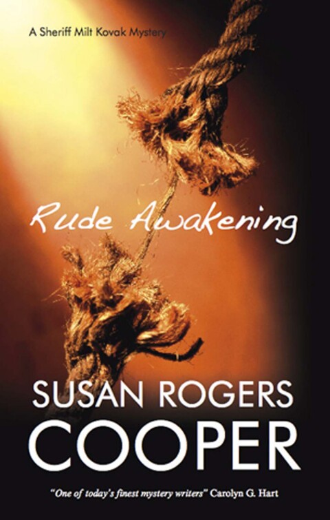 Cover image for book Rude Awakening