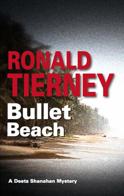 Cover image for book Bullet Beach