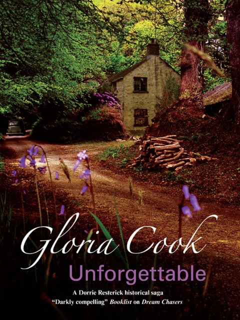 Cover image for book Unforgettable