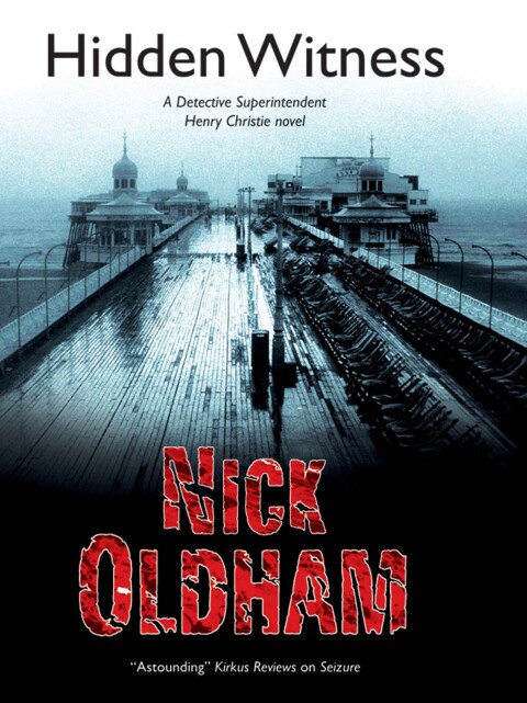 Cover image for book Hidden Witness