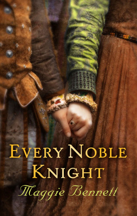 Cover image for book Every Noble Knight