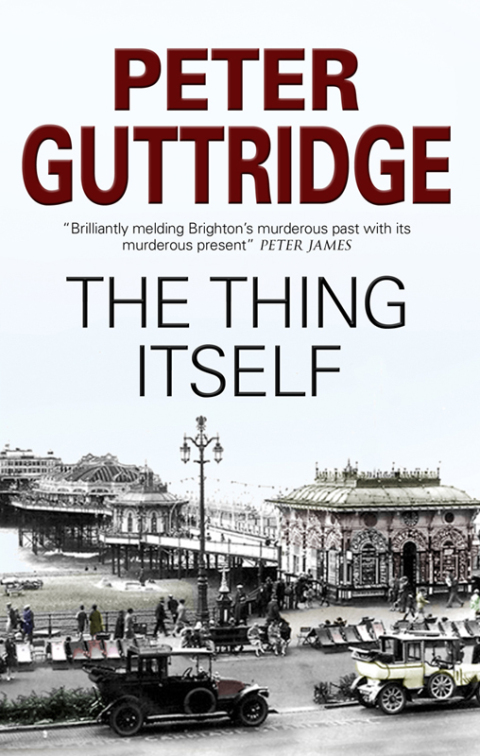 Cover image for book The Thing Itself