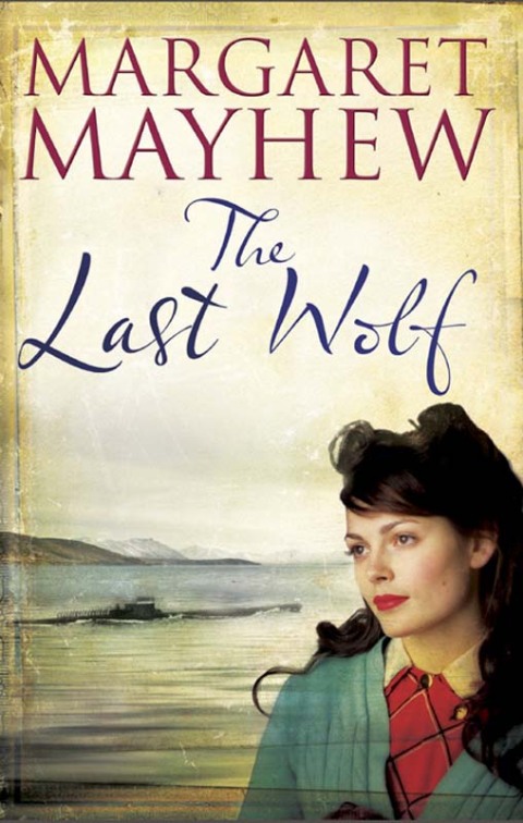 Cover image for book The Last Wolf