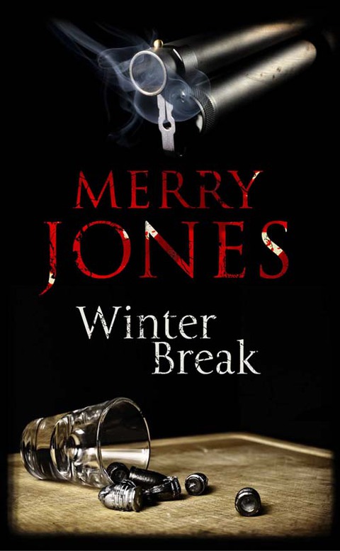 Cover image for book Winter Break