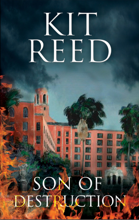 Cover image for book Son of Destruction