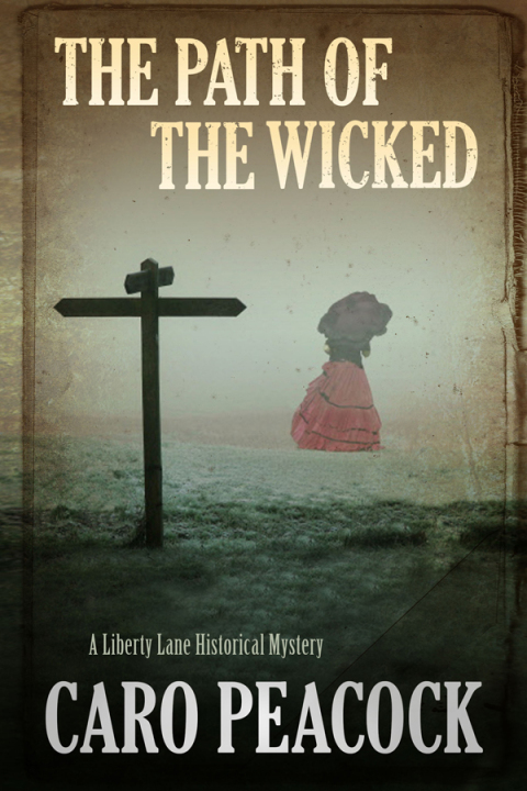 Cover image for book The Path of the Wicked