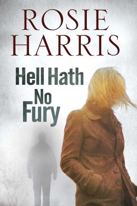 Cover image for book Hell Hath No Fury