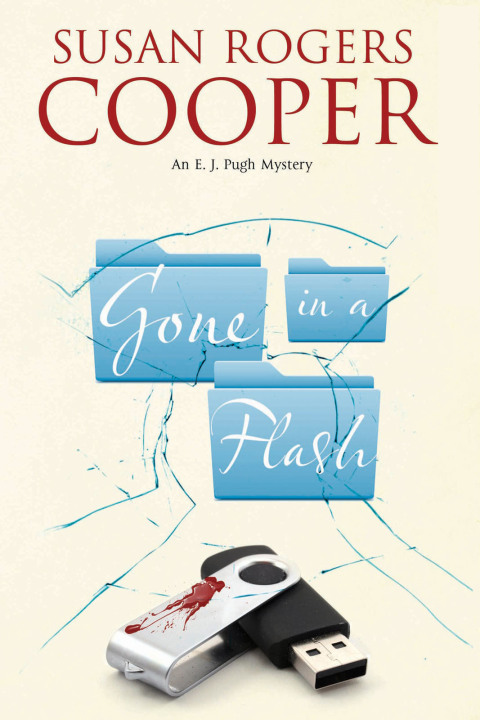 Cover image for book Gone in a Flash
