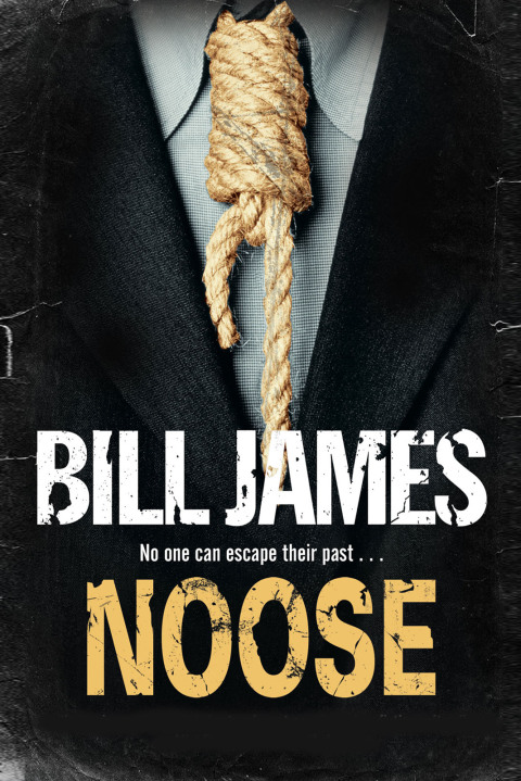 Cover image for book Noose