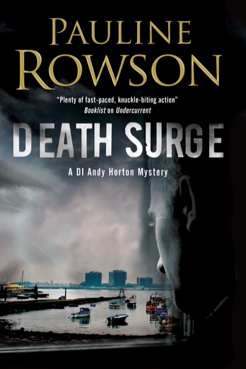 Cover image for book Death Surge