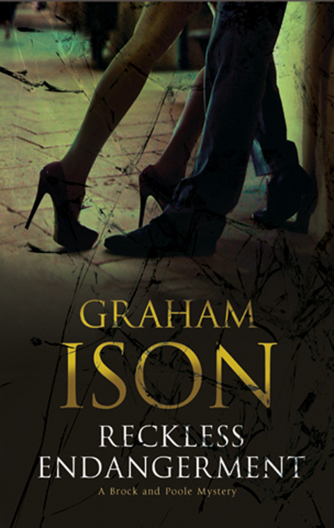 Cover image for book Reckless Endangerment