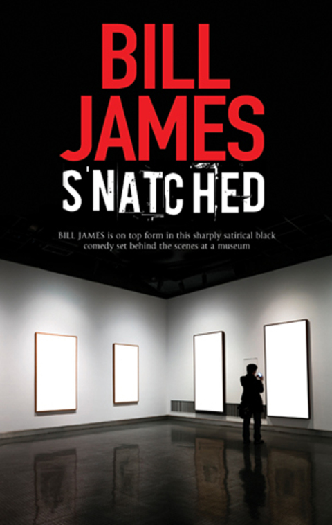 Cover image for book Snatched