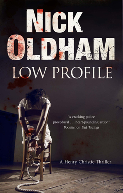 Cover image for book Low Profile