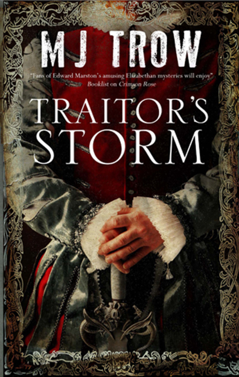 Cover image for book Traitor's Storm