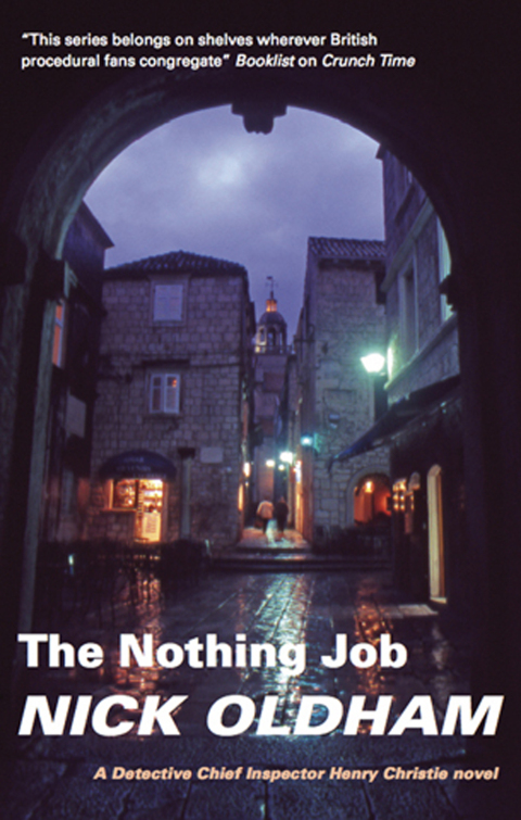 Cover image for book The Nothing Job