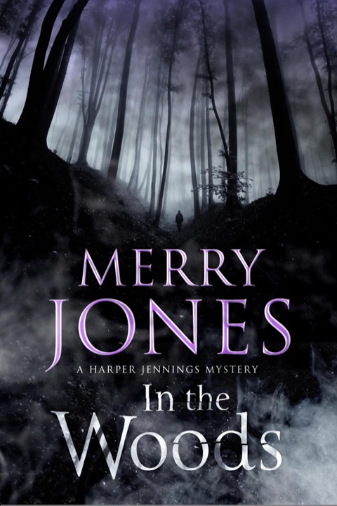 Cover image for book In the Woods