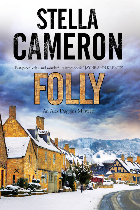 Cover image for book Folly