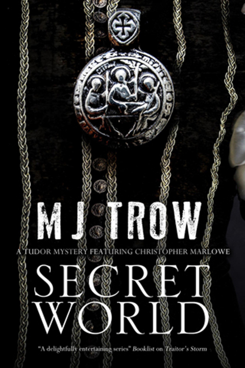 Cover image for book Secret World