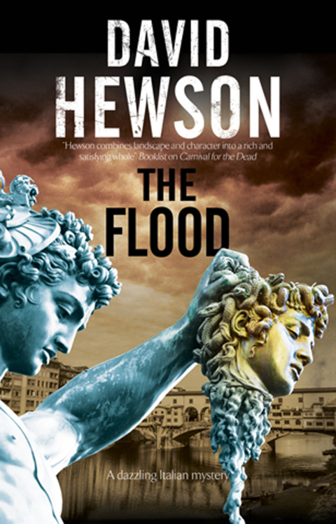 Cover image for book The Flood