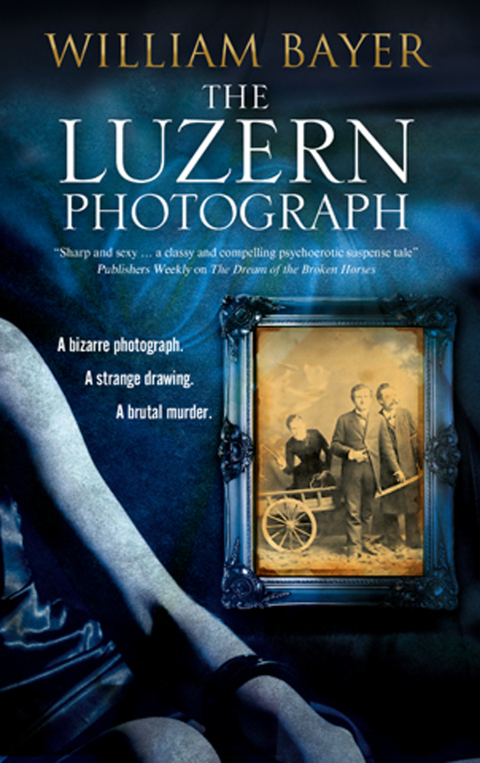 Cover image for book The Luzern Photograph