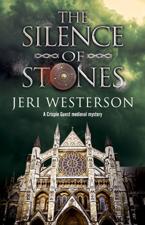 Cover image for book The Silence of Stones