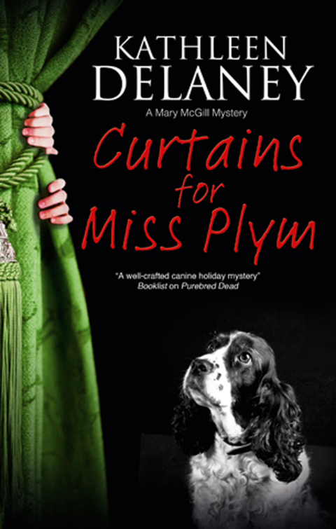 Cover image for book Curtains for Miss Plym
