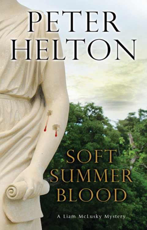 Cover image for book Soft Summer Blood