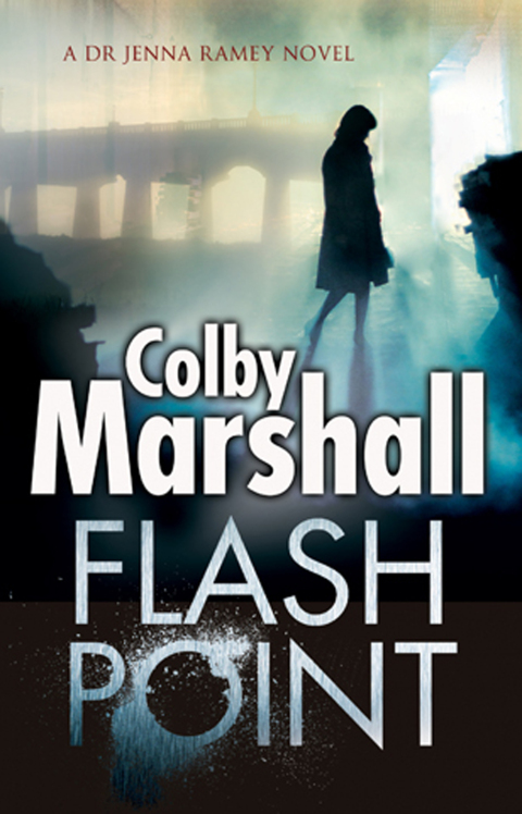 Cover image for book Flash Point