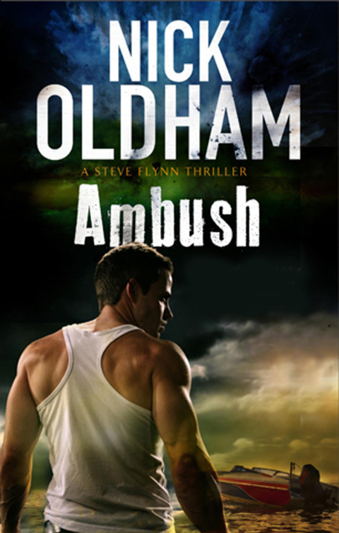 Cover image for book Ambush