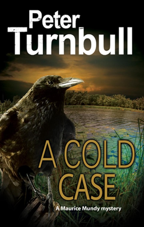 Cover image for book A Cold Case