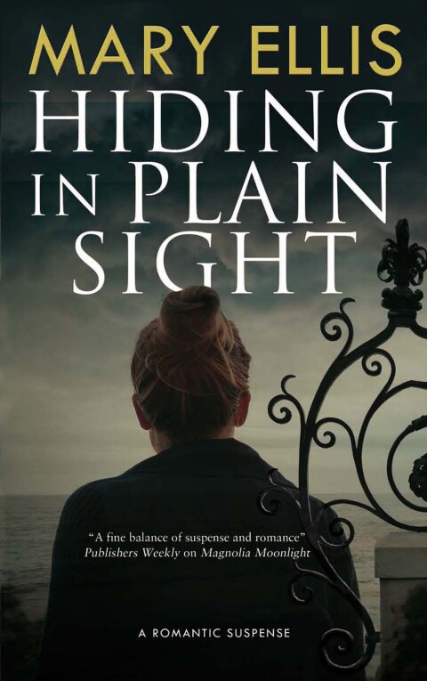 Cover image for book Hiding in Plain Sight