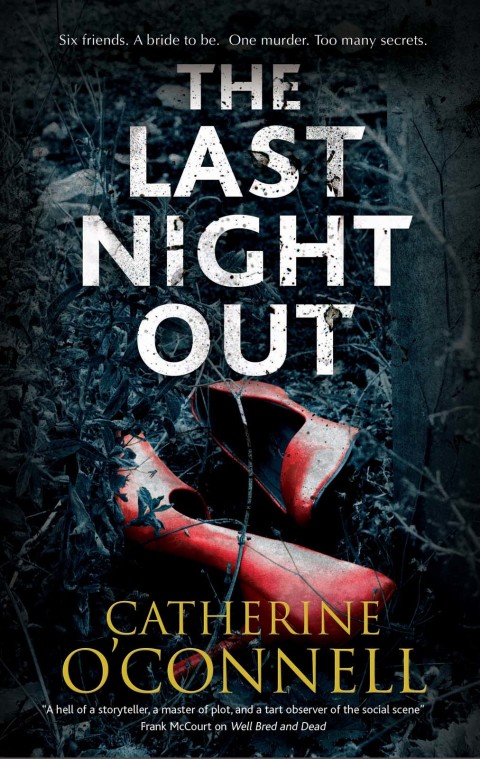 Cover image for book Last Night Out, The